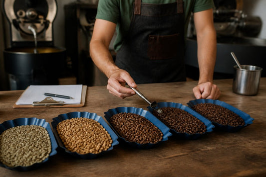 How to Identify Specialty Grade Beans: A 2026 Guide
