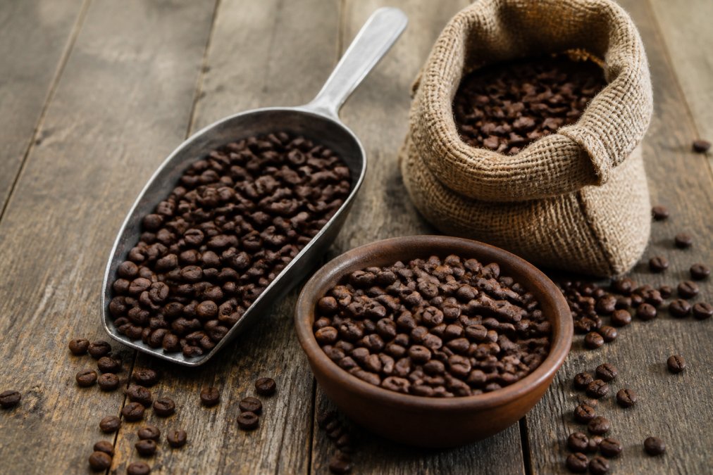 Premium Coffee Beans for Daily Brewing: 2026 Guide
